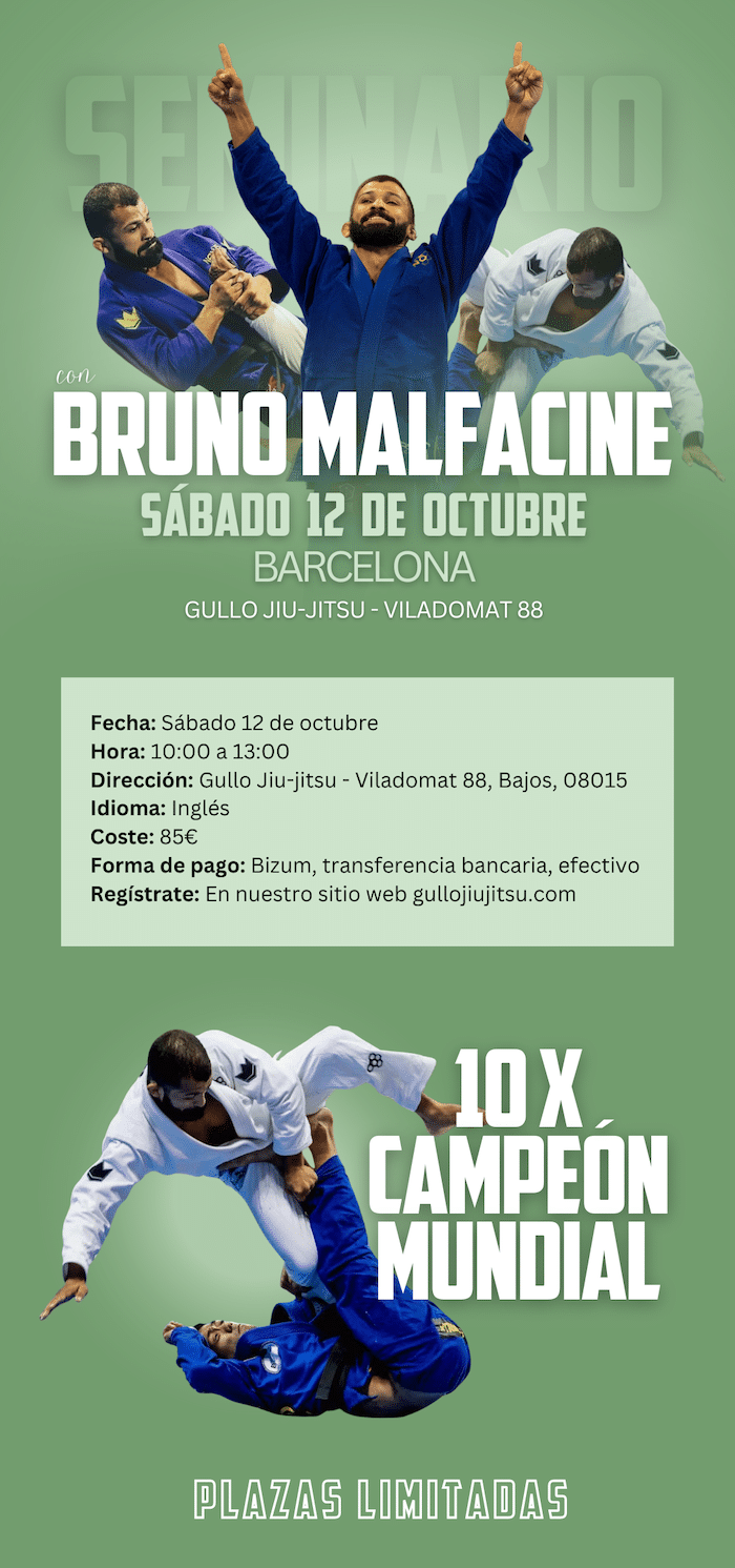 Bruno Malfacine seminar